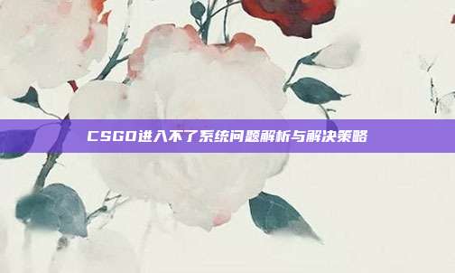 CSGO进入不了系统问题解析与解决策略