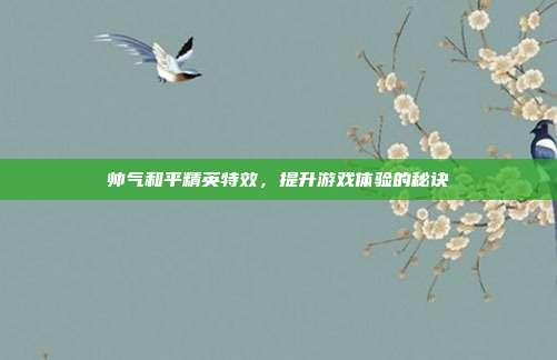 帅气和平精英特效，提升游戏体验的秘诀