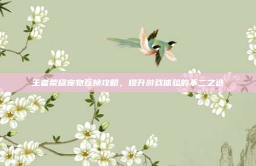 王者荣耀宠物互换攻略,提升游戏体验的不二之选