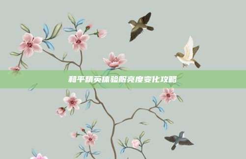 和平精英体验服亮度变化攻略