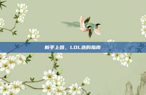 新手上路，LOL选购指南