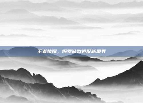 王者荣耀,探索游戏适配新境界