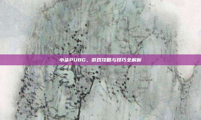 小柒PUBG，游戏攻略与技巧全解析