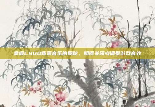 掌握CSGO背景音乐的奥秘,如何关闭或调整游戏音效