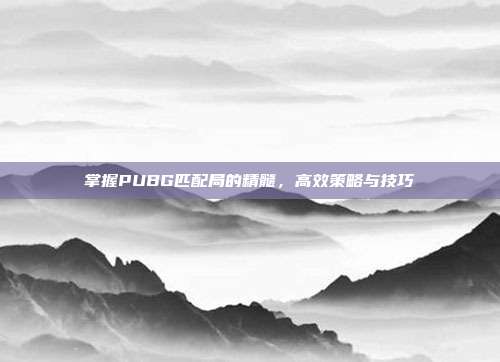 掌握PUBG匹配局的精髓，高效策略与技巧