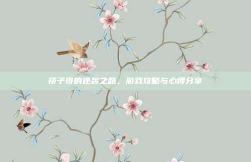 筷子哥的逆袭之路,游戏攻略与心得分享