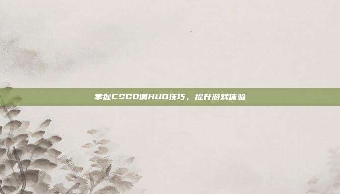 掌握CSGO调HUD技巧,提升游戏体验