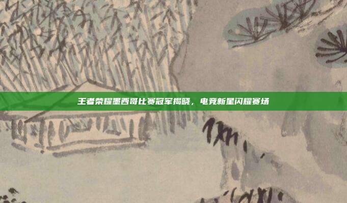 王者荣耀墨西哥比赛冠军揭晓，电竞新星闪耀赛场