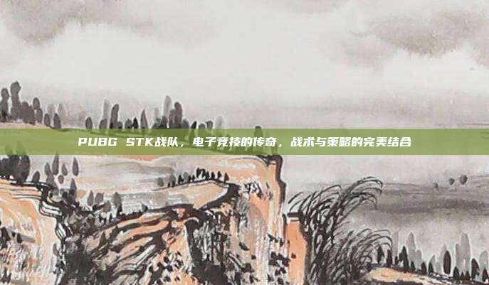 PUBG STK战队,电子竞技的传奇,战术与策略的完美结合