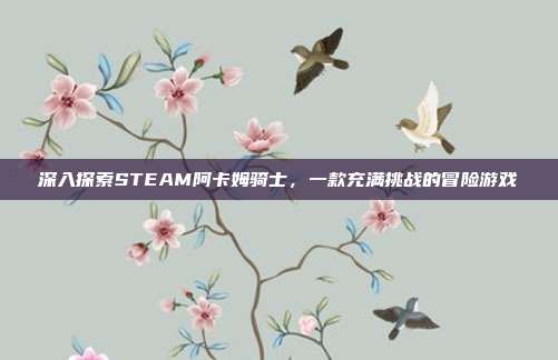 深入探索STEAM阿卡姆骑士,一款充满挑战的冒险游戏