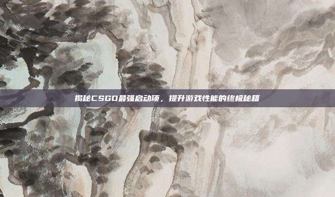 揭秘CSGO最强启动项,提升游戏性能的终极秘籍