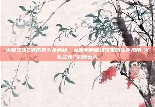 火炬之光2减伤石头全解析，从新手到硬核玩家的生存指南-火炬之光2减伤石头