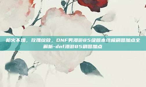 枪火不熄，玫瑰绽放，DNF男漫游85级版本终极刷图加点全解析-dnf漫游85刷图加点