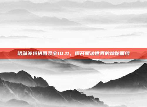 哈利波特拼图寻宝10.11,揭开魔法世界的神秘面纱