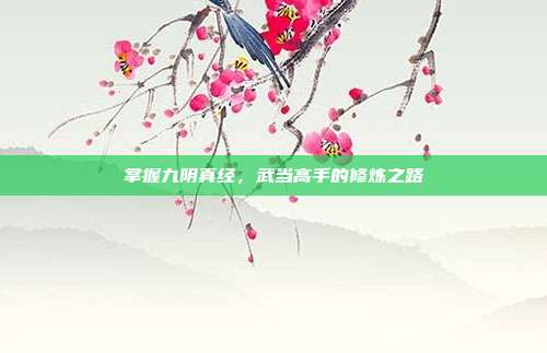 掌握九阴真经,武当高手的修炼之路