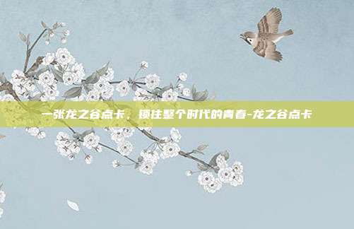 一张龙之谷点卡，锁住整个时代的青春-龙之谷点卡