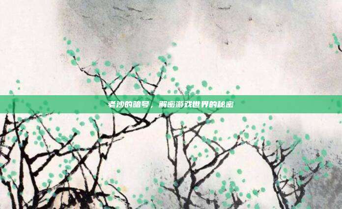 老沙的暗号，解密游戏世界的秘密