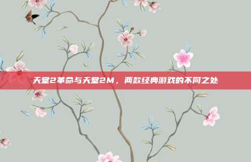 天堂2革命与天堂2M,两款经典游戏的不同之处