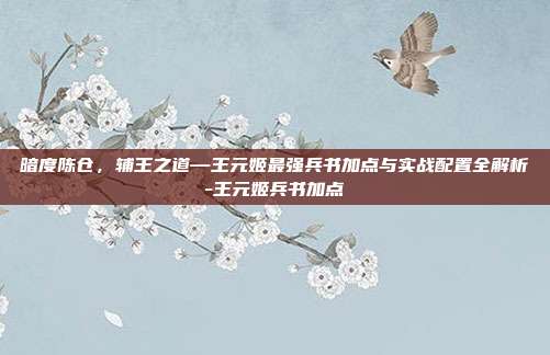 暗度陈仓，辅王之道—王元姬最强兵书加点与实战配置全解析-王元姬兵书加点