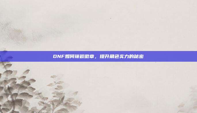 DNF如何镶嵌徽章,提升角色实力的秘密