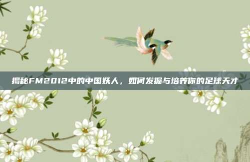 揭秘FM2012中的中国妖人，如何发掘与培养你的足球天才