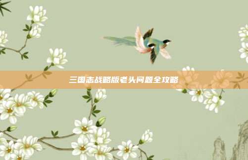 三国志战略版老头问题全攻略
