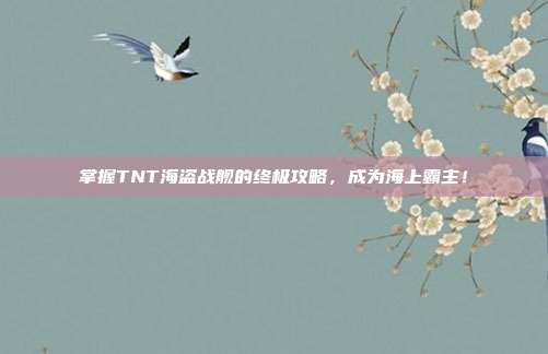 掌握TNT海盗战舰的终极攻略，成为海上霸主！