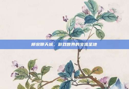 柳泉聊天城,游戏世界的交流圣地