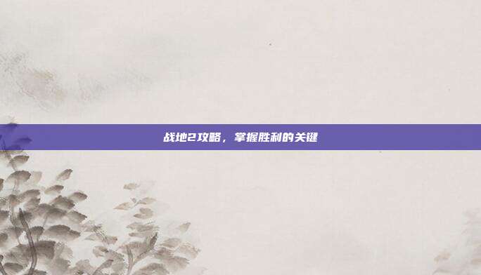 战地2攻略,掌握胜利的关键