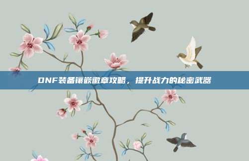 DNF装备镶嵌徽章攻略,提升战力的秘密武器