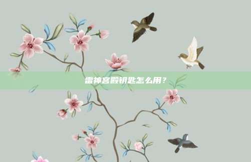 雷神宫殿钥匙怎么用?