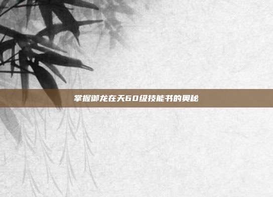 掌握御龙在天60级技能书的奥秘