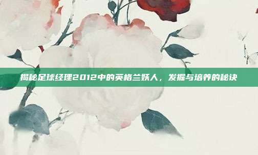 揭秘足球经理2012中的英格兰妖人,发掘与培养的秘诀