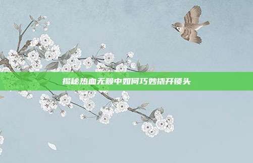 揭秘热血无赖中如何巧妙撬开锁头
