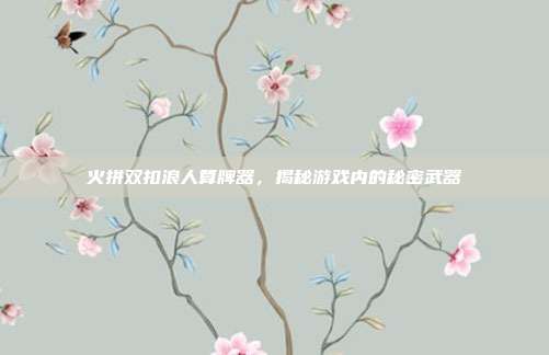 火拼双扣浪人算牌器,揭秘游戏内的秘密武器