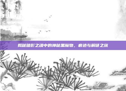 揭秘暗影之魂中的神秘黑魔物,痕迹与解谜之旅