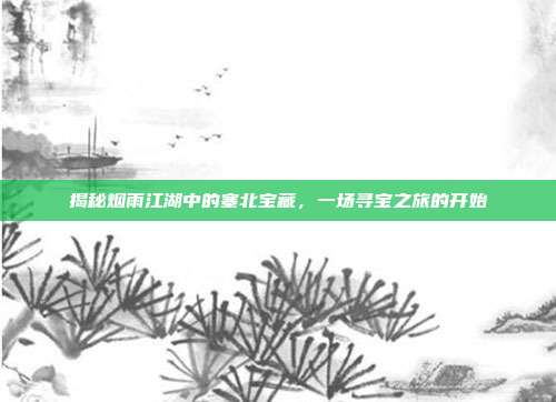 揭秘烟雨江湖中的塞北宝藏，一场寻宝之旅的开始