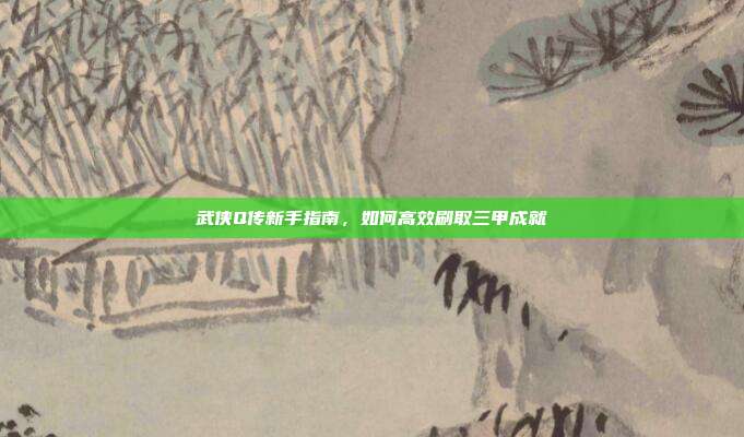 武侠Q传新手指南,如何高效刷取三甲成就