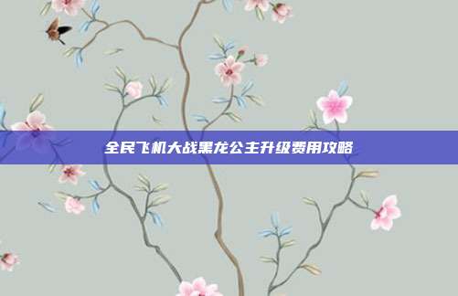 全民飞机大战黑龙公主升级费用攻略