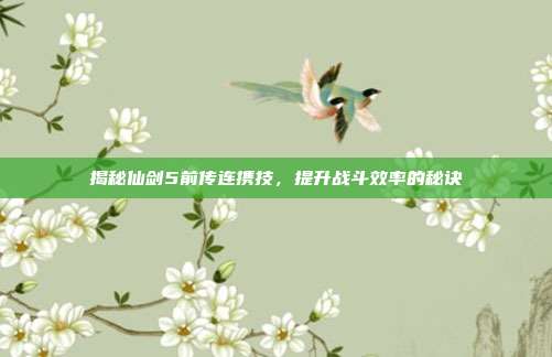 揭秘仙剑5前传连携技,提升战斗效率的秘诀