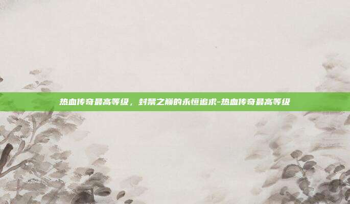 热血传奇最高等级，封禁之巅的永恒追求-热血传奇最高等级