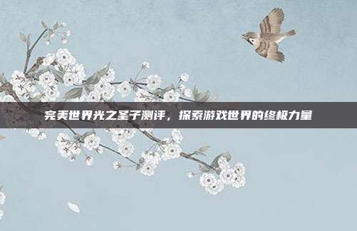 完美世界光之圣子测评,探索游戏世界的终极力量