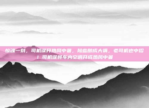 惊魂一刻，司机误开热风中暑，险些酿成大祸，老司机也中招！司机误将车内空调开成热风中暑