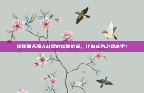 揭秘黑天照大转盘的神秘位置，让你成为游戏高手！