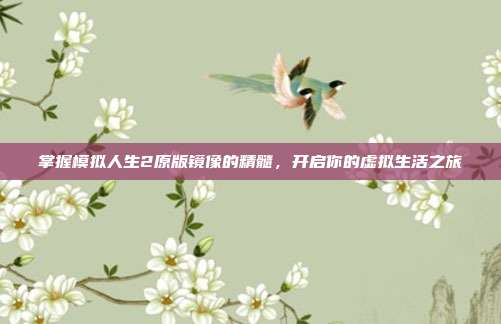 掌握模拟人生2原版镜像的精髓,开启你的虚拟生活之旅