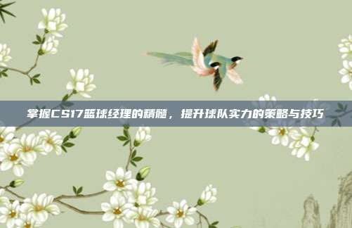 掌握CS17篮球经理的精髓,提升球队实力的策略与技巧