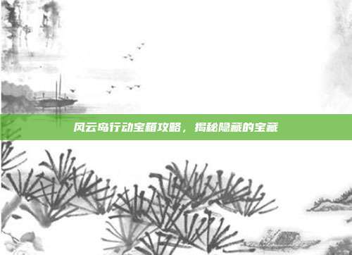 风云岛行动宝箱攻略,揭秘隐藏的宝藏
