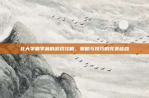 北大学霸李晨的游戏攻略,策略与技巧的完美结合