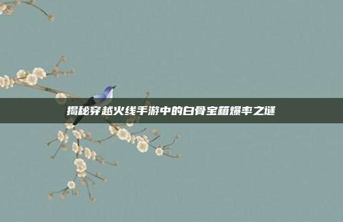 揭秘穿越火线手游中的白骨宝箱爆率之谜