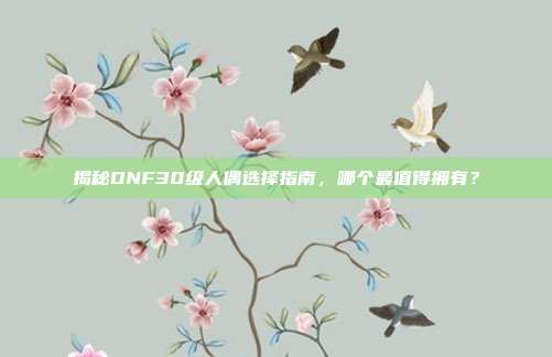揭秘DNF30级人偶选择指南，哪个最值得拥有？